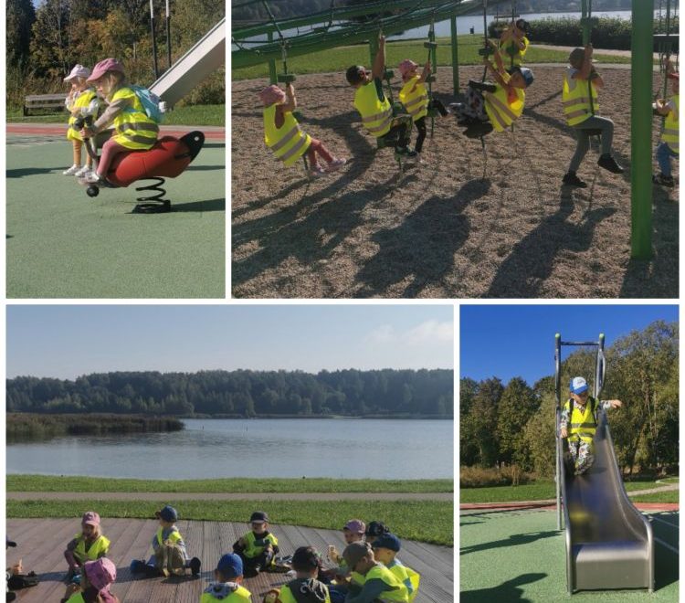 Collage_20240920_132109.jpg